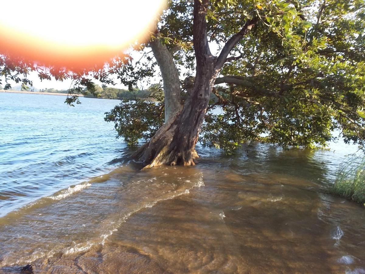 דמבולה Niduwari Lake Homestay מראה חיצוני תמונה